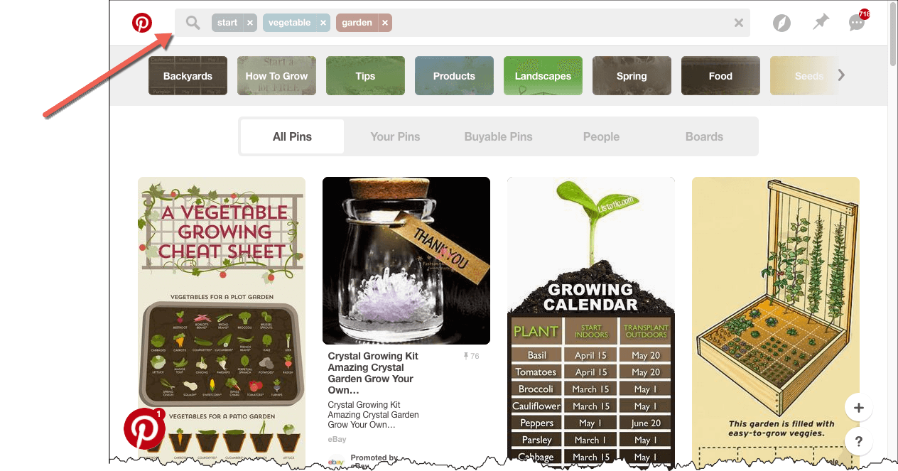Vegetable Pinterest Search Example