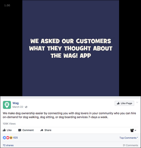 Wag! Facebook retargeting ad