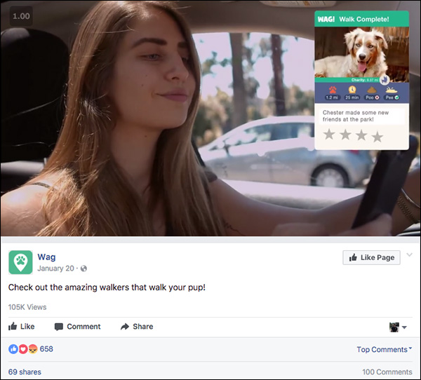Another Wag! Facebook retargeting ad