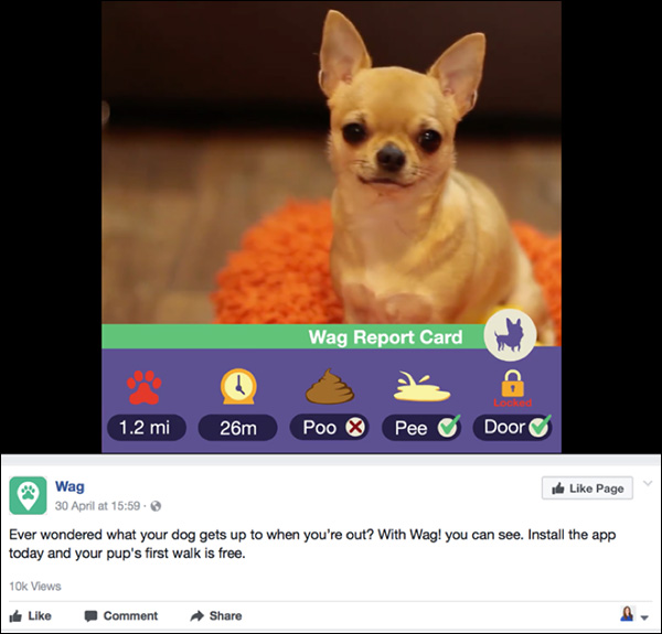 Wag! Facebook ad