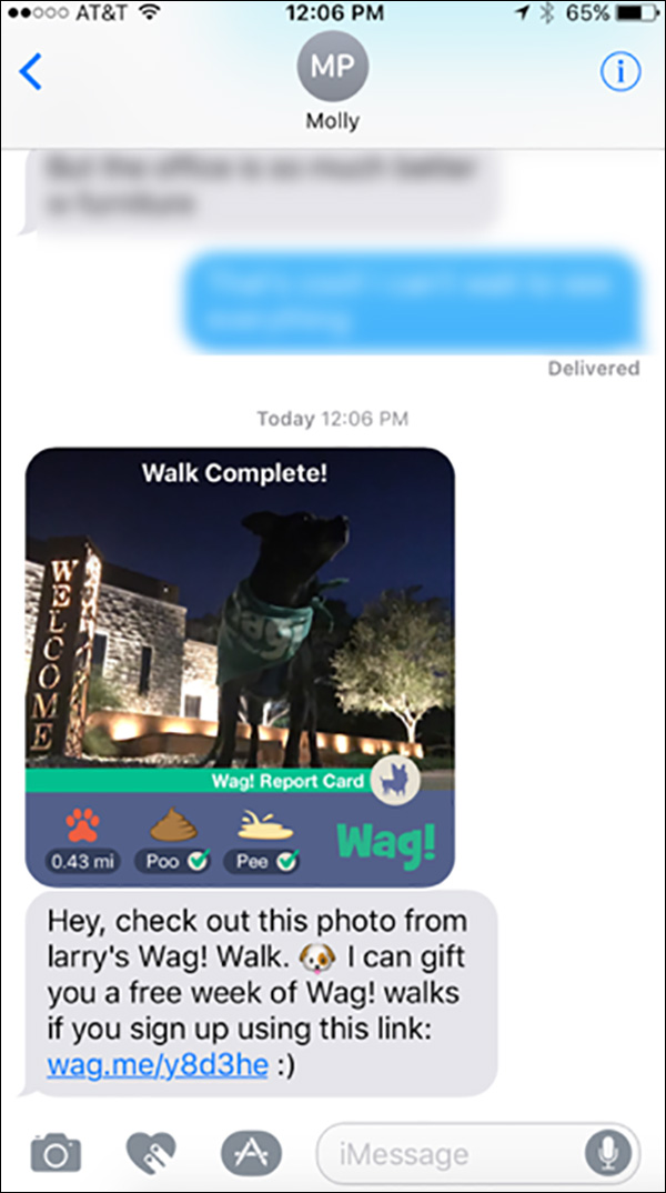 Wag! text I sent to a friend