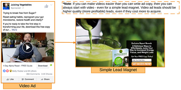 A Facebook video ad that links out to a Lead Magnet