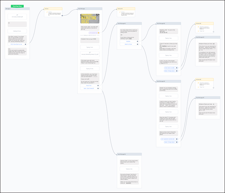 Overview of Alison's ManyChat Webinar ChatBot