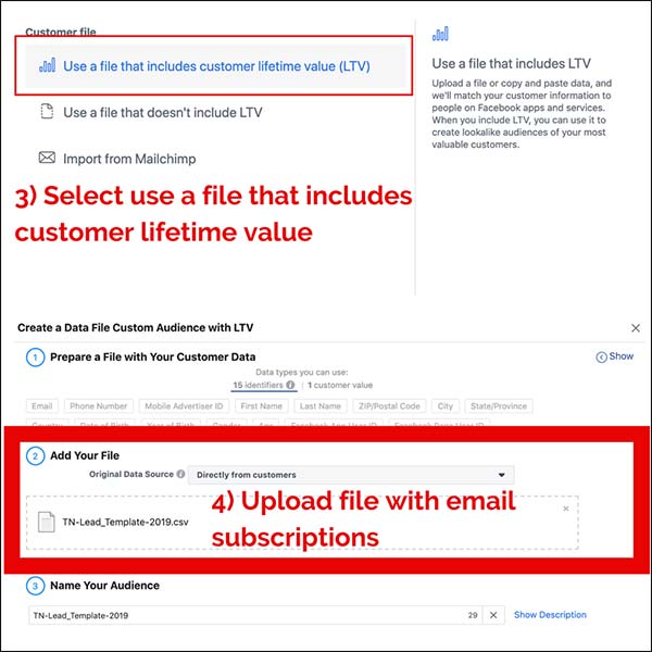 Then you want to use a file that includes the customer lifetime value (LTV). From there you will add your file of email subscribers.