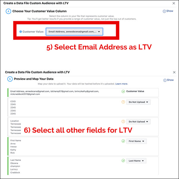 For the customer value column, you will want to select email address as the LTV, and then select all other fields as well for LTV under Preview and Map Your Data.