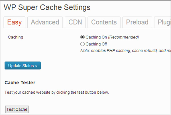 WP Super Cache SEO tool