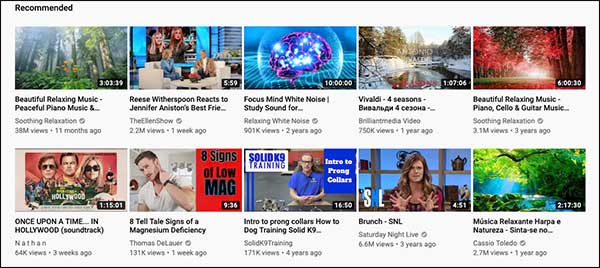  YouTube Recommendations based upon an AI algorithm.
