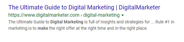 The Ultimate Guide To Digital Marketing search result