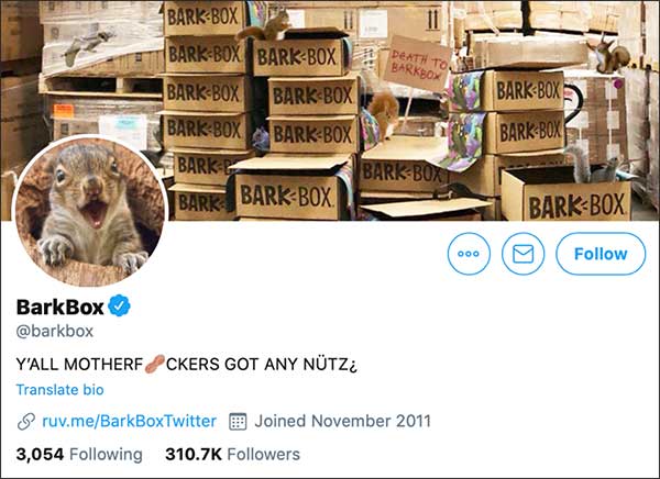 BarkBox's Twitter account is taken over by squirrels