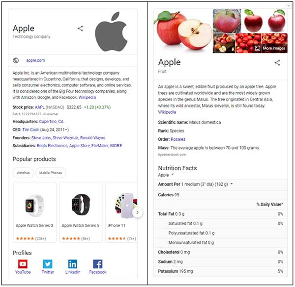 Search engine results for Apple Tech Company and a fruit Apple
