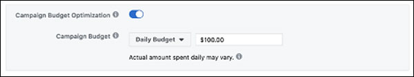 The Campaign Budget Optimization Facebook options