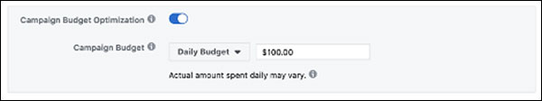 The Facebook options to optimize your campaign budget