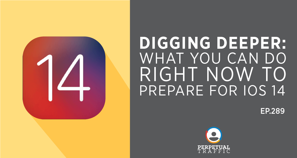 Episode 289: Digging Deeper: What You Can Do Right Now to Prepare for iOS 14