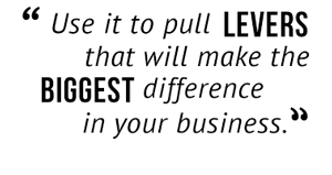 "Use it to pull levers that will make the biggest difference in your business."