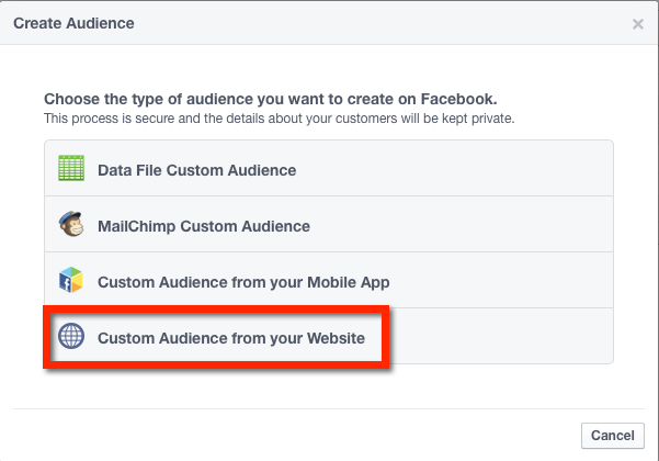 CustomAudience