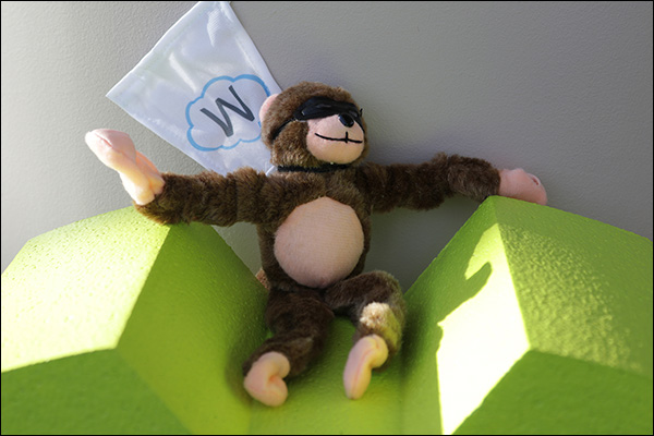 Maropost Monkey
