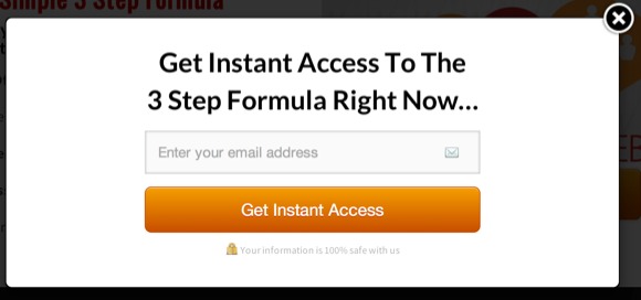 Two Step Opt In