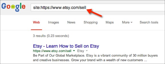 Checking Google Index