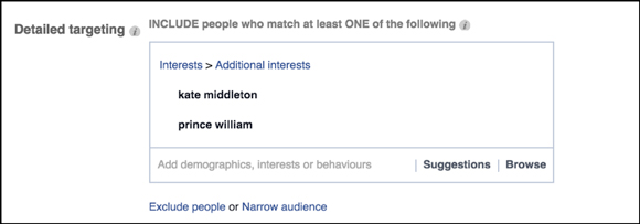 facebook-flex-targeting-img6
