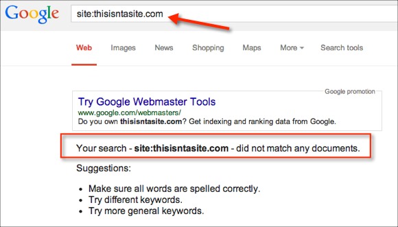 Website Not in the Google Index